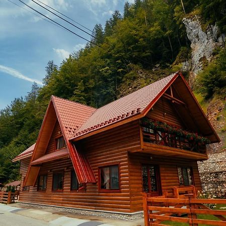 Casa Cheile Dambovicioarei - Cabana 2 Dîmbovicioara Εξωτερικό φωτογραφία