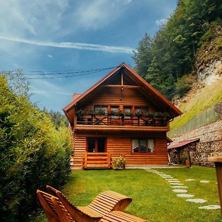 Casa Cheile Dambovicioarei - Cabana 2 Dîmbovicioara Εξωτερικό φωτογραφία