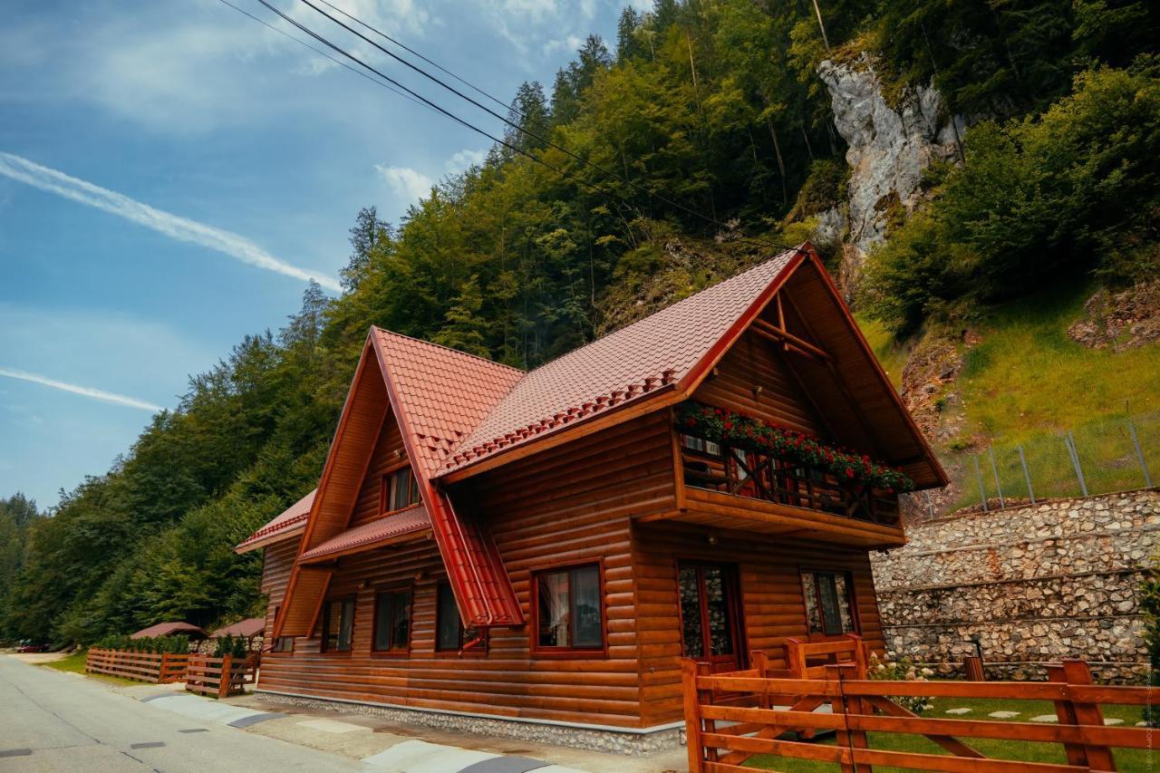 Casa Cheile Dambovicioarei - Cabana 2 Dîmbovicioara Εξωτερικό φωτογραφία