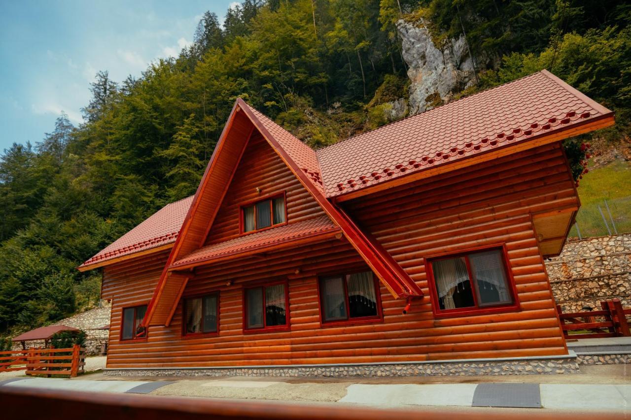 Casa Cheile Dambovicioarei - Cabana 2 Dîmbovicioara Εξωτερικό φωτογραφία
